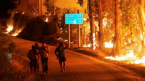 chile forest fires death